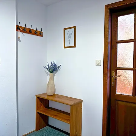 My Lady Ii Guest house Hermanice (Liberec)