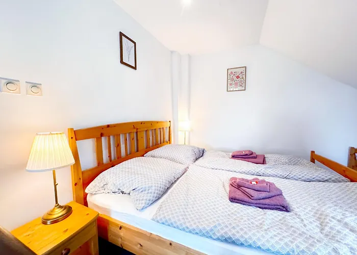 My Lady Ii Guest house Hermanice (Liberec)