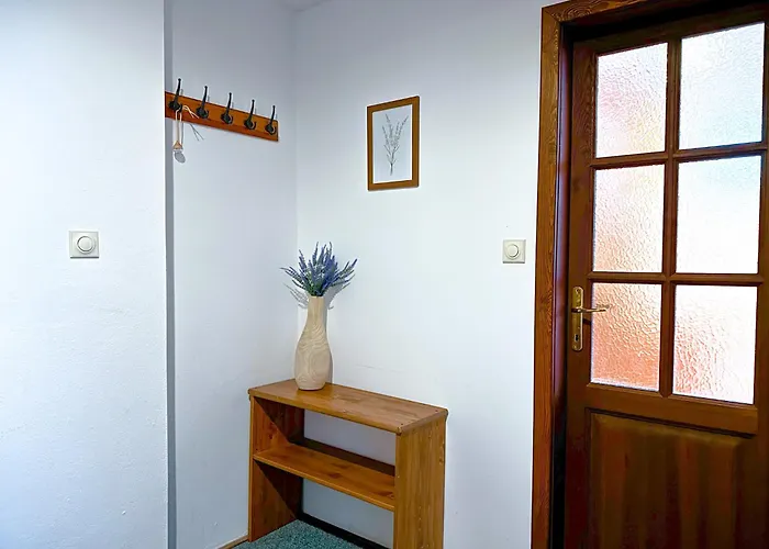 My Lady Ii Guest house Hermanice (Liberec)